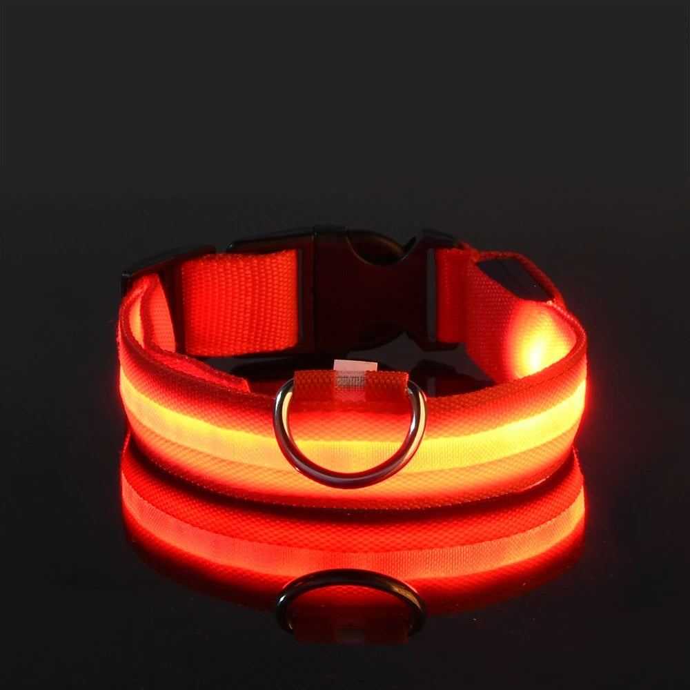 LED Glowing Nylon Night Safety Dog Leash and Collar