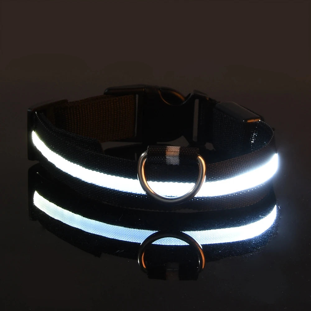 LED Glowing Nylon Night Safety Dog Leash and Collar