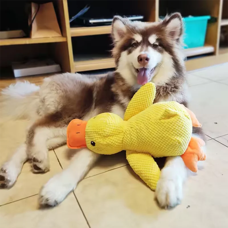 Interactive Little Yellow Duck Plush Dog Toy