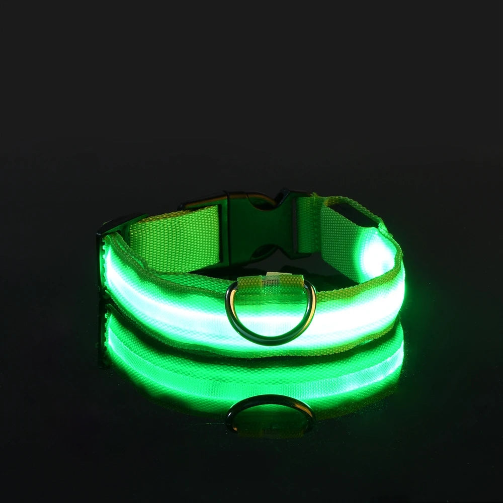LED Glowing Nylon Night Safety Dog Leash and Collar