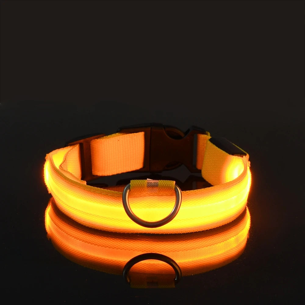 LED Glowing Nylon Night Safety Dog Leash and Collar