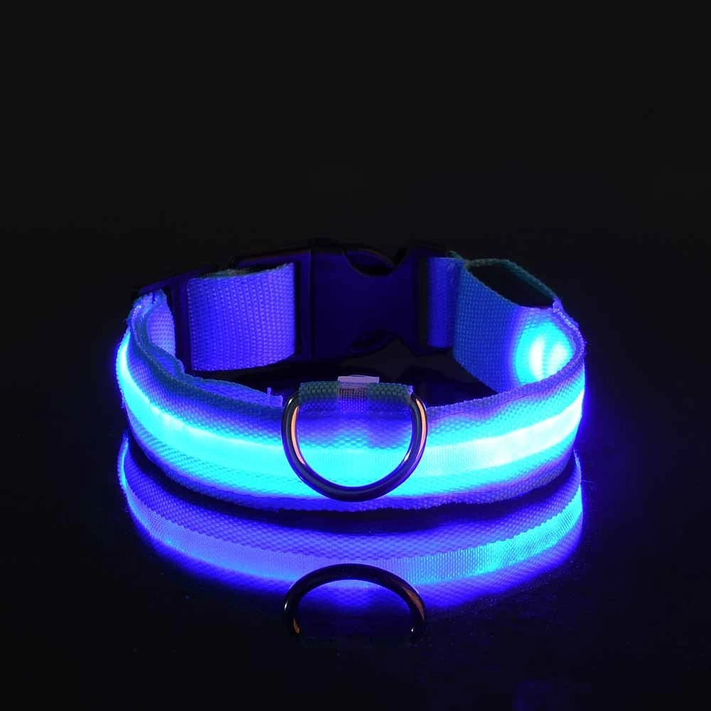 LED Glowing Nylon Night Safety Dog Leash and Collar