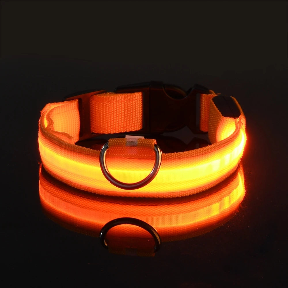 LED Glowing Nylon Night Safety Dog Leash and Collar