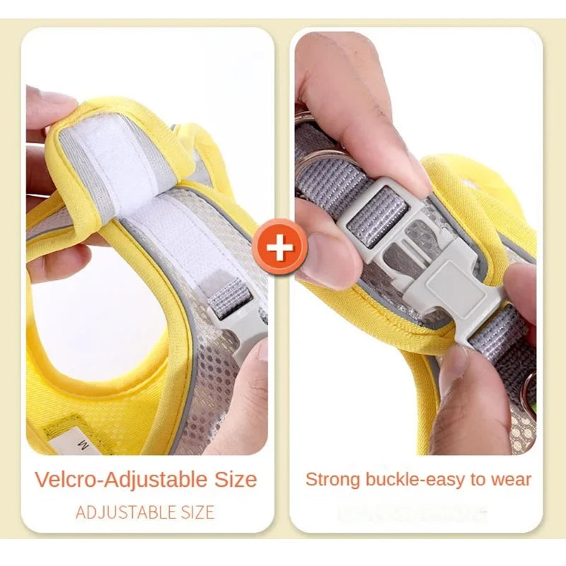 Reflective Breathable Adjustable Cat and Dog Harness Vest with Lead Set