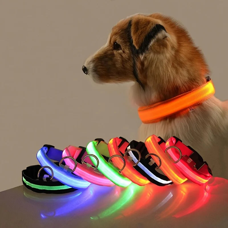 LED Glowing Nylon Night Safety Dog Leash and Collar
