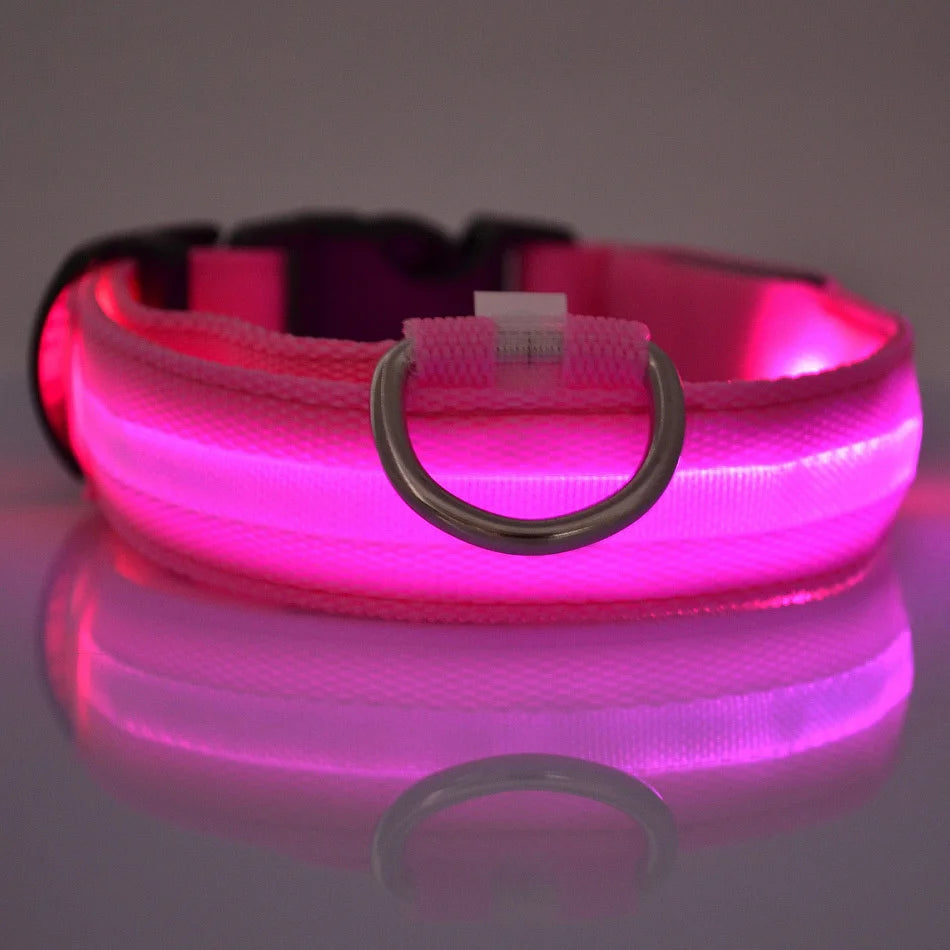 LED Glowing Nylon Night Safety Dog Leash and Collar
