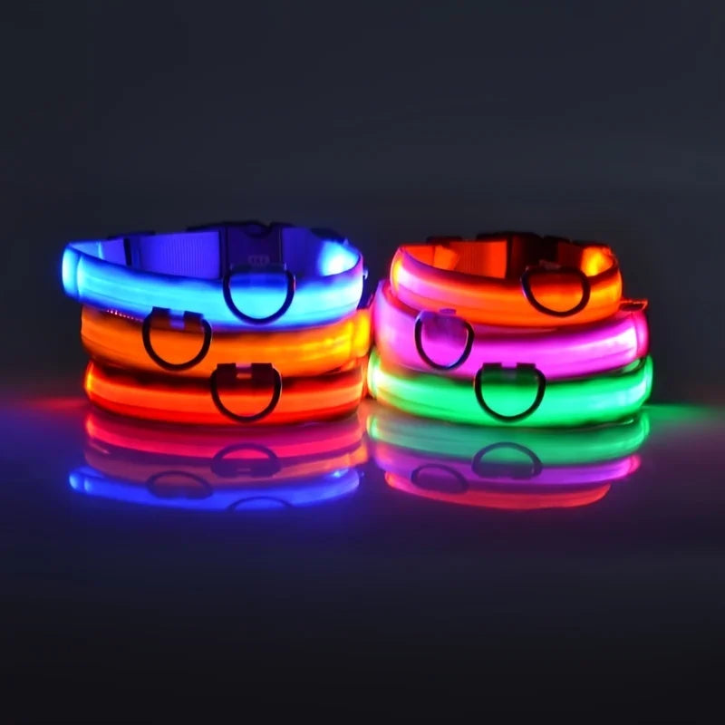 LED Glowing Nylon Night Safety Dog Leash and Collar