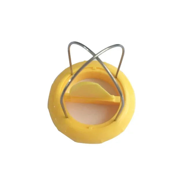 Fast Peel Kiwi Slicer and Fruit Peeler Tool