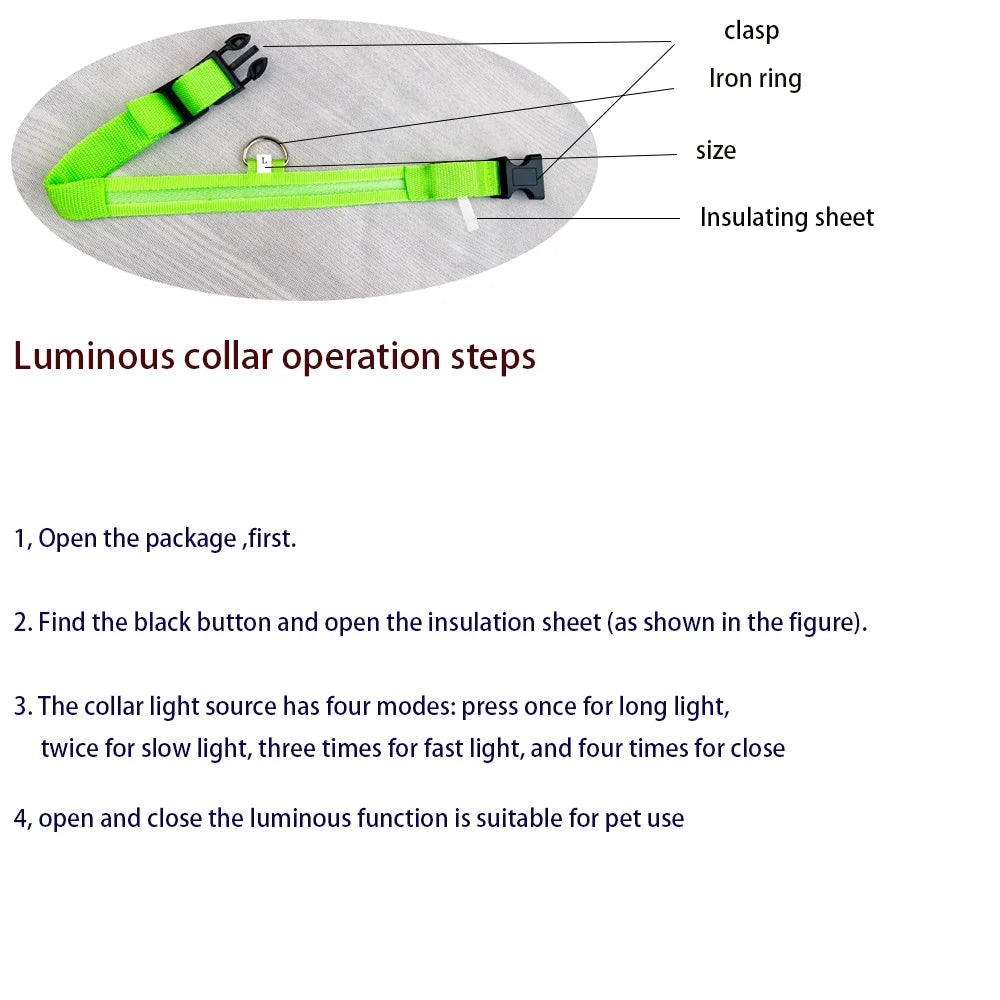 LED Glowing Nylon Night Safety Dog Leash and Collar