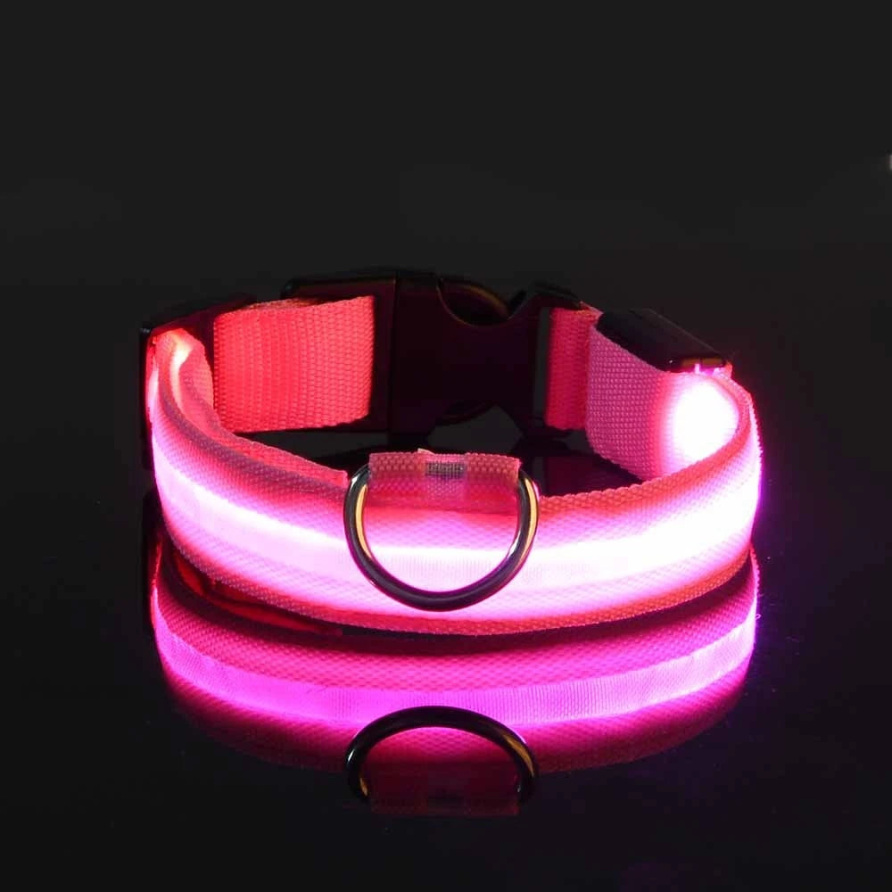 LED Glowing Nylon Night Safety Dog Leash and Collar