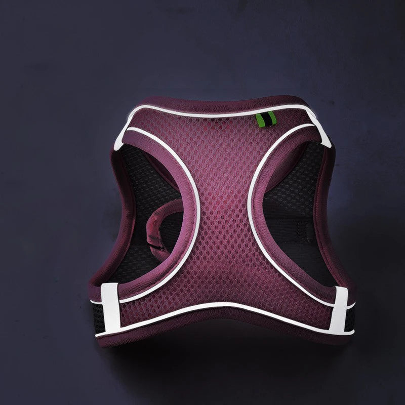 Reflective Breathable Adjustable Cat and Dog Harness Vest with Lead Set